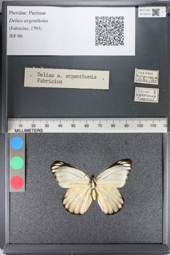 Media type: image;   Entomology 128318